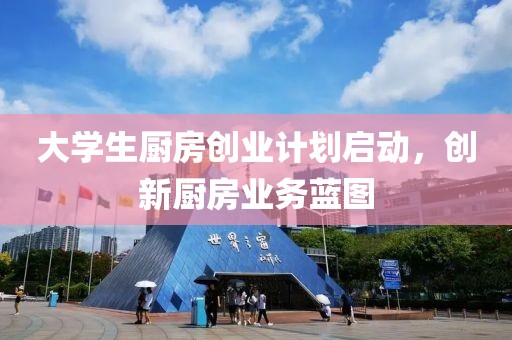 大学生厨房创业计划启动，创新厨房业务蓝图