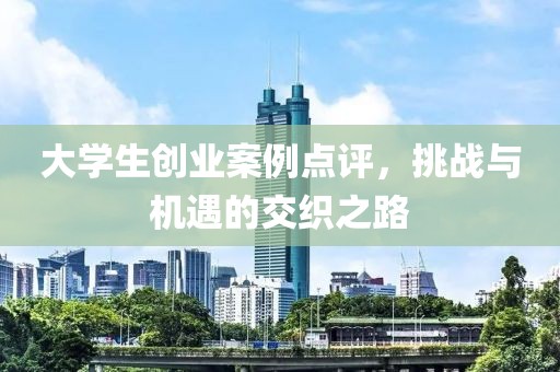 大学生创业案例点评，挑战与机遇的交织之路