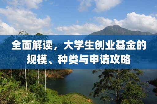 全面解读，大学生创业基金的规模、种类与申请攻略