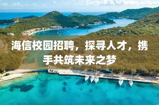 海信校园招聘，探寻人才，携手共筑未来之梦