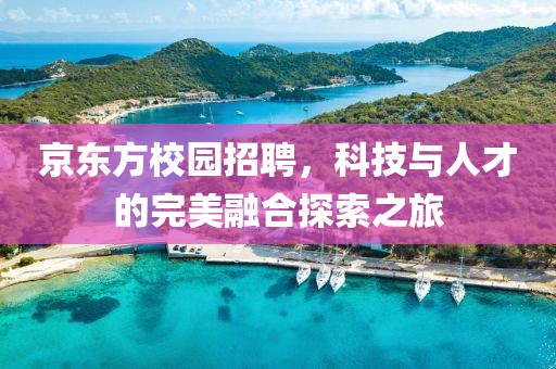 京东方校园招聘，科技与人才的完美融合探索之旅