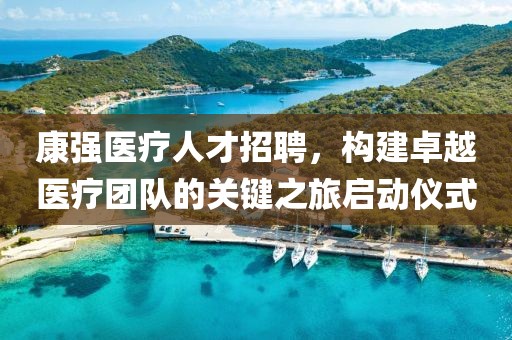 康强医疗人才招聘，构建卓越医疗团队的关键之旅启动仪式