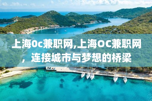 上海0c兼职网,上海OC兼职网，连接城市与梦想的桥梁