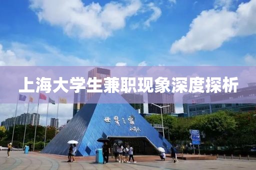 上海大学生兼职现象深度探析